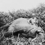 Africa’s Growing Automotive Market