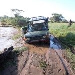 1997 Toyota Land Cruiser VX 80 series to cover 40,000Kms in 200 Days